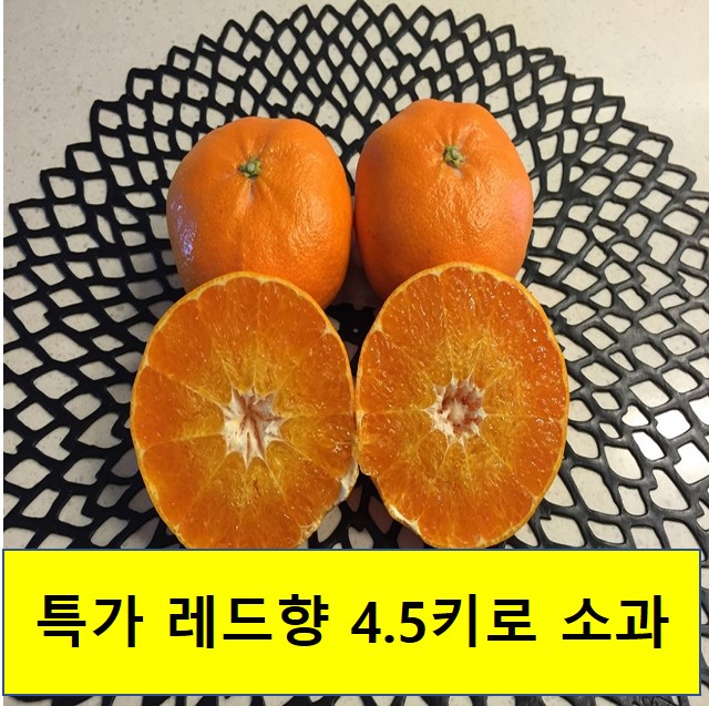 특가 레드향 소과 (4.5kg, 10kg)