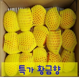 특가 황금향 중소과(4.5kg)