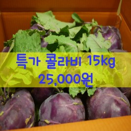 주말특가 콜라비 15kg