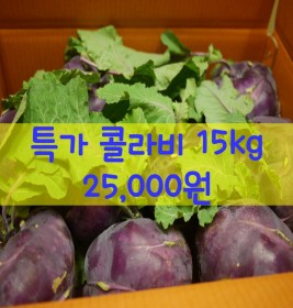 주말특가 콜라비 15kg