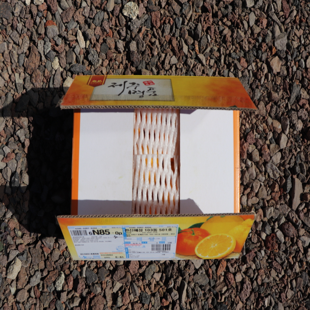 황금향 3kg 4.5kg
