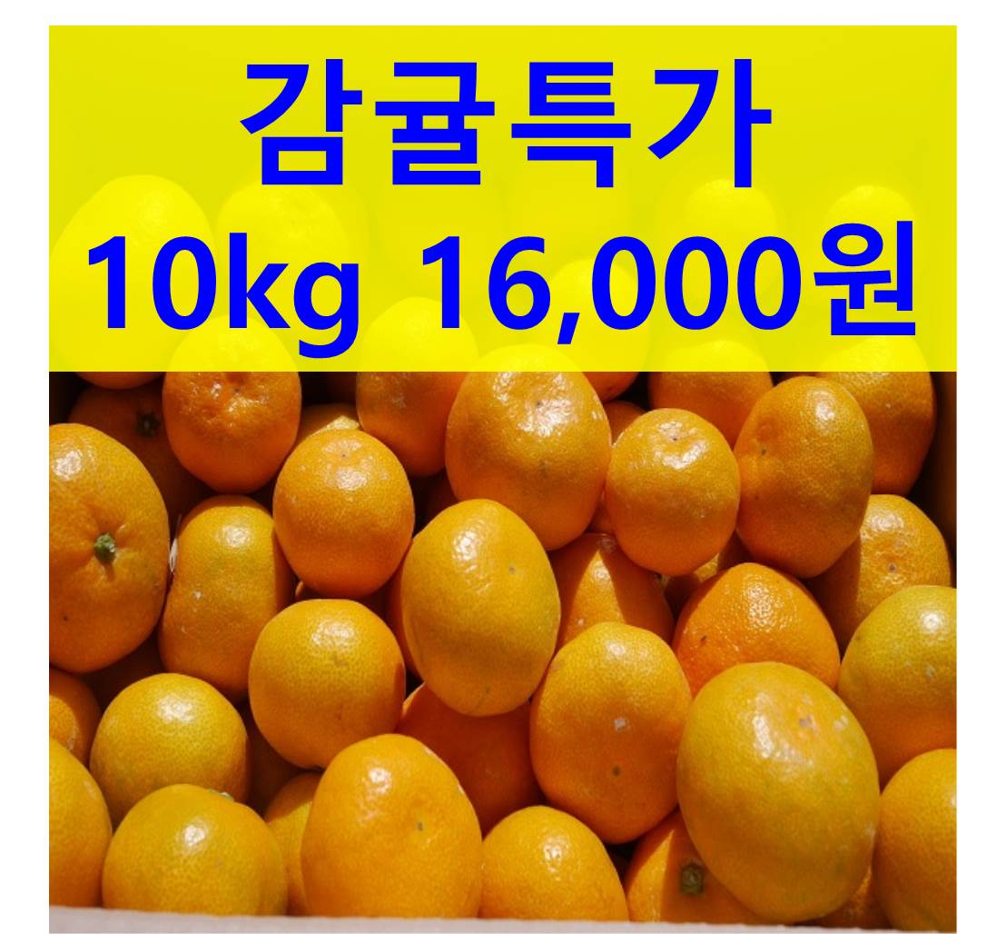 특가 조생귤10kg 16000원