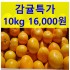 특가 조생귤10kg 16000원