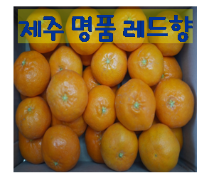 레드향 (2kg 3kg 4.5kg 10kg)