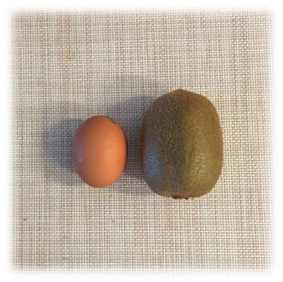 제주골드키위(3kg,5kg,10kg)