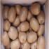 제주골드키위(3kg,5kg,10kg)